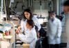 Luxury Jewelry Brands Take Charge of Educating the Next Generation