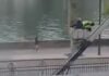 Louvre jewelry heist: New video shows escape
