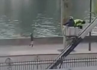Louvre jewelry heist: New video shows escape
