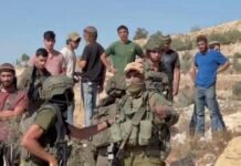 As the West Bank olive harvest begins, settlers attack Palestinians while the IDF watches