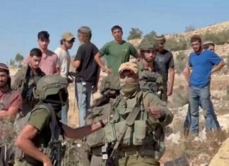 As the West Bank olive harvest begins, settlers attack Palestinians while the IDF watches