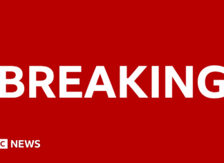 Five new suspects arrested over Louvre jewellery theft