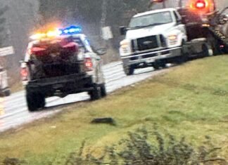 Three vehicle crash on Hwy. 169