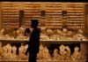 Turkey’s jewelry industry nears collapse amid abuse of export incentives