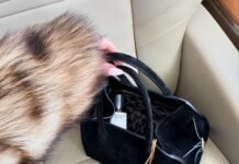 I Tried the Perfume Brand Loved by Rosie HW and I Received 10 Compliments Within an Hour