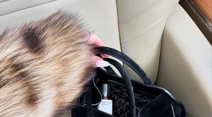 I Tried the Perfume Brand Loved by Rosie HW and I Received 10 Compliments Within an Hour