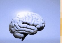 The Man Who Invented AGI