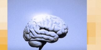 The Man Who Invented AGI