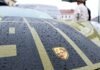 The reason why Porsche is losing billions: The car manufacturer’s stunning financial collapse