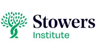 Stowers Institute appoints first AI Fellow to help advance biological research with artificial intelligence