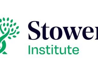 Stowers Institute appoints first AI Fellow to help advance biological research with artificial intelligence