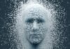 A Fleet’s Guide to AI: Managing Risk, Data Security, and Implementation