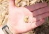 Celtic treasure trove discovered with coins and jewelry dating back 2,000 years
