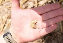 Celtic treasure trove discovered with coins and jewelry dating back 2,000 years