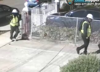 NYPD searching for 3 men accused of stealing millions of dollars worth of jewelry from Queens home