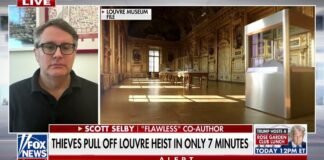 Louvre security was ‘not up to par’ after jewelry heist, author says