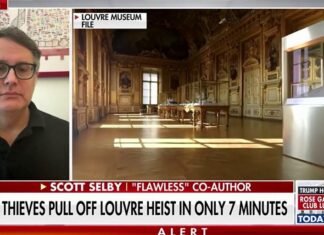 Louvre security was ‘not up to par’ after jewelry heist, author says