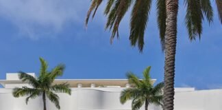 Your Official Guide to the House of Dior Beverly Hills
