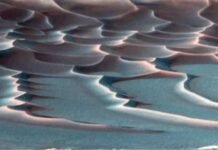 Artificial Intelligence Uncovers the Secrets of Mars – Jordan News | Latest News from Jordan, MENA