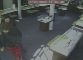 Experts claim jewelry store employee’s use of gun in robbery backed by Utah law