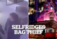 Video: Moment pickpocket swipes woman’s handbag in Selfridges Oxford Street