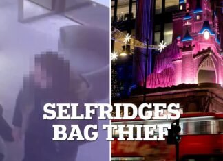 Video: Moment pickpocket swipes woman’s handbag in Selfridges Oxford Street