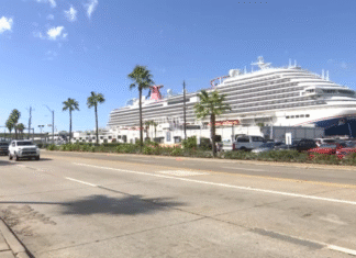 Galveston city officials consider using artificial intelligence to deal with influx of traffic