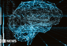 University of Surrey researchers mimic brain wiring to improve AI