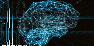 University of Surrey researchers mimic brain wiring to improve AI