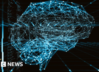 University of Surrey researchers mimic brain wiring to improve AI