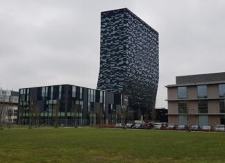 China opens door to resumption of Nexperia chip exports