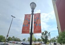 Handbags Stolen from Promenade Store