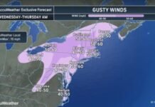 High wind watch issued for 10 N.J. counties with 60 mph gusts in forecast Wednesday