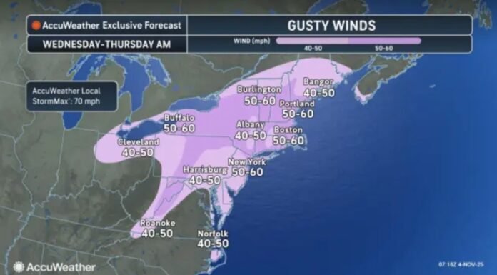 High wind watch issued for 10 N.J. counties with 60 mph gusts in forecast Wednesday