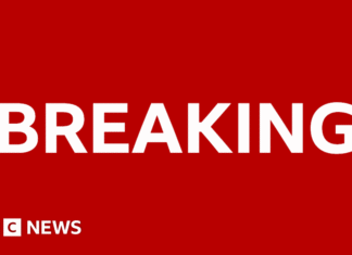 Suspect charged over Louvre jewellery theft
