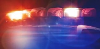 Last week’s Cannon Falls Police reports