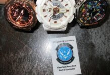 Feds seize dozens of counterfeit Chinese watches in Louisville