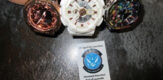 Feds seize dozens of counterfeit Chinese watches in Louisville