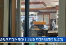 Store at Promenade Shops robbed of handbags by two people