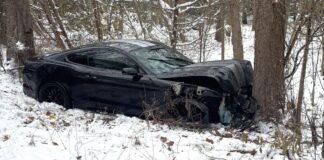 Driver loses control of vehicle, hits tree