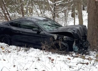 Driver loses control of vehicle, hits tree