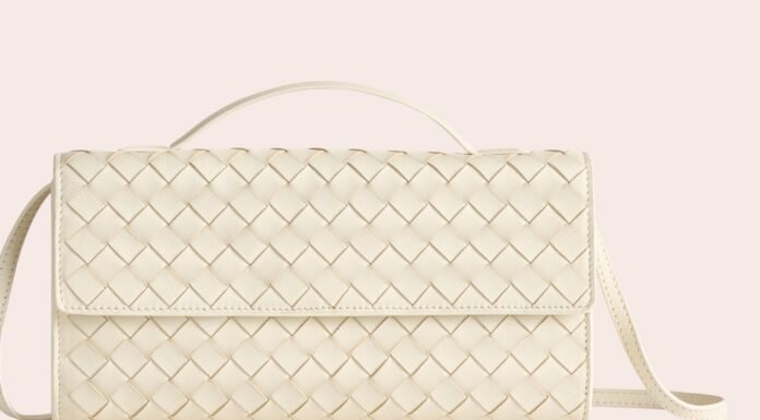 Shoppers Say This $100 Quince Bag Looks Almost Identical to a $3,500 Bottega Purse