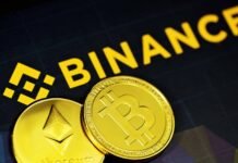 Hedge Funds, Family Offices Access Bespoke Crypto Services with Binance Prestige