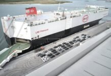 Chinese Auto Oversupply Leaves Four EV Firms Profitable