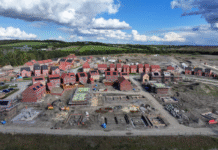 EA to ‘significantly reduce’ bespoke advice on biodiversity and environmental assessments