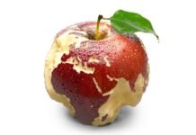 A Truly Globalist-y Story from Turkey, with German Connections