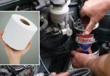 Why Not Filter Your Car’s Oil With A Roll Of Toilet Paper?