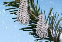 17 Exceptional, Artful Jewels to Gift this Holiday Season