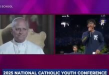 ‘Be wise’: Pope advises Hawaii student about use of artificial intelligence