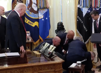 White House medical emergency: Trump watches in shock as top executive collapses during live event; RFK Jr. runs out amid chaos